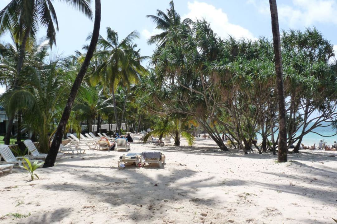 Liegen am hoteleigenen Strandabschnitt PrideInn Flamingo Beach Resort & Spa