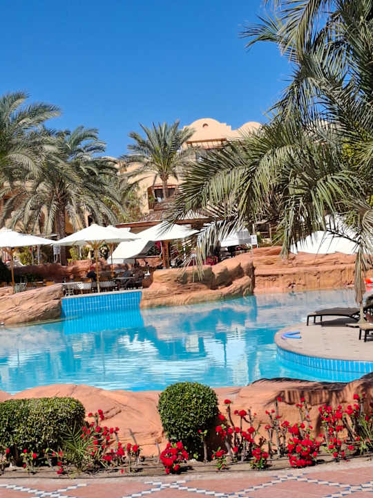 Pool Steigenberger Coraya Beach - Adults only