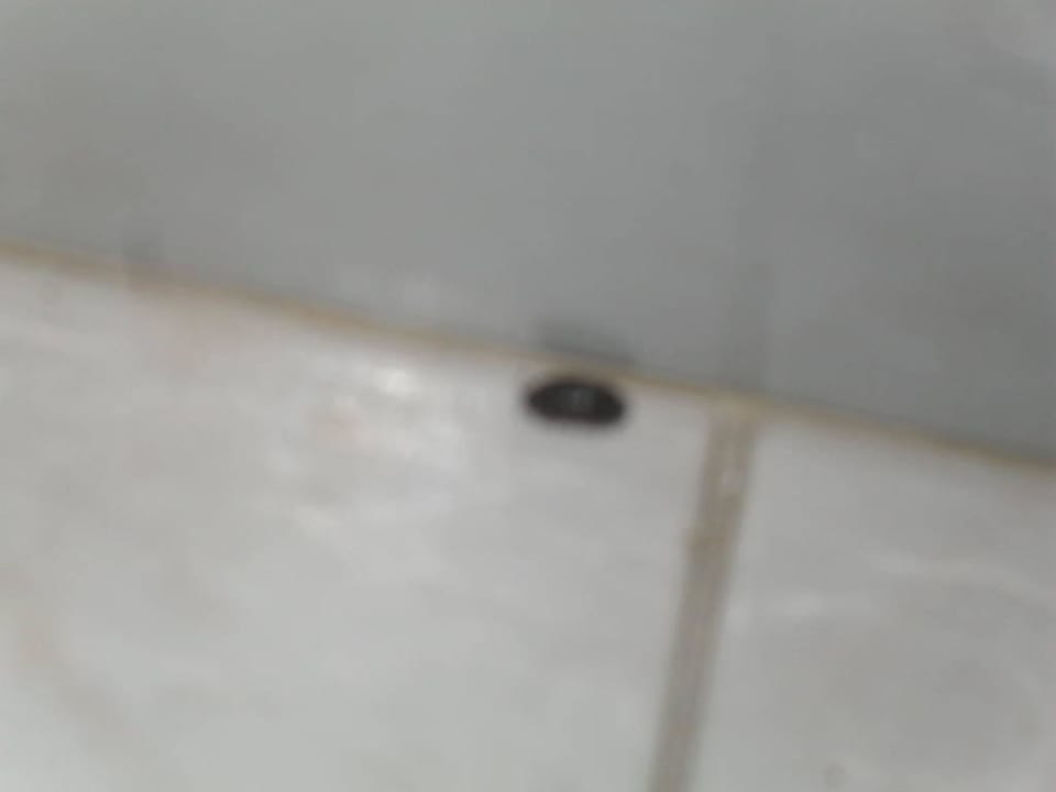 Badezimmer mit kleinen Tierchen Monica Isabel Beach Club