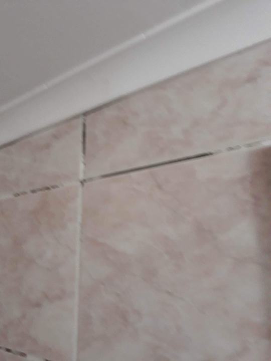 Zimmer Side Miami Beach