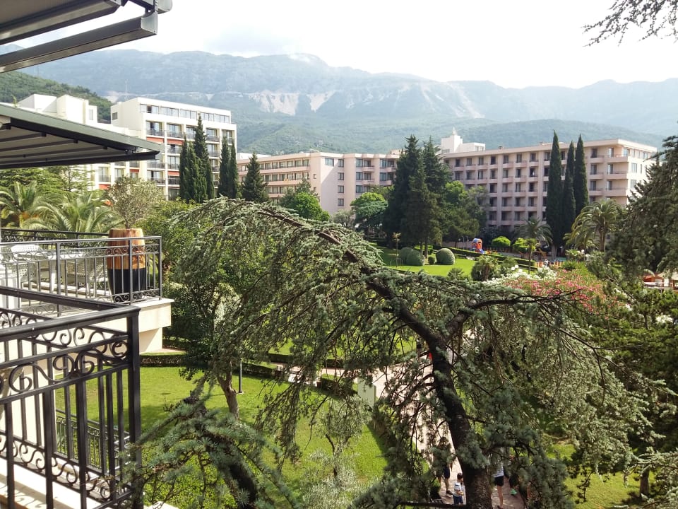 Ausblick in den Garten und auf die Berge Iberostar Waves Bellevue