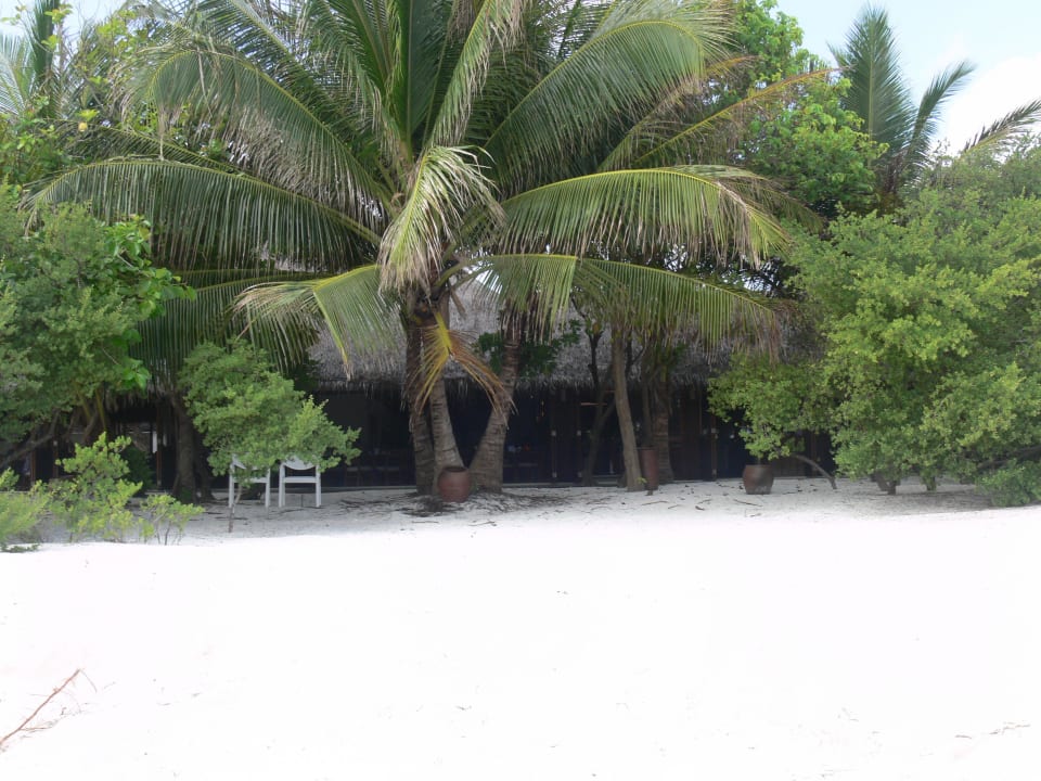 Meeru Island Resort Meeru Maldives Resort Island
