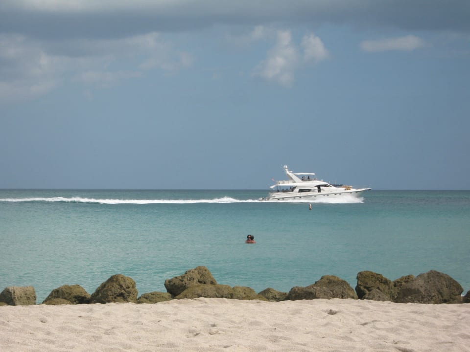 Tolles Schiff  The Palms Hotel & Spa