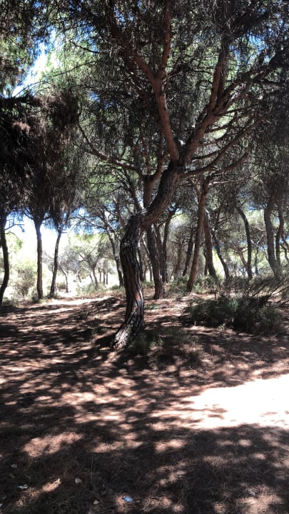 Ausblick TUI BLUE Isla Cristina Palace