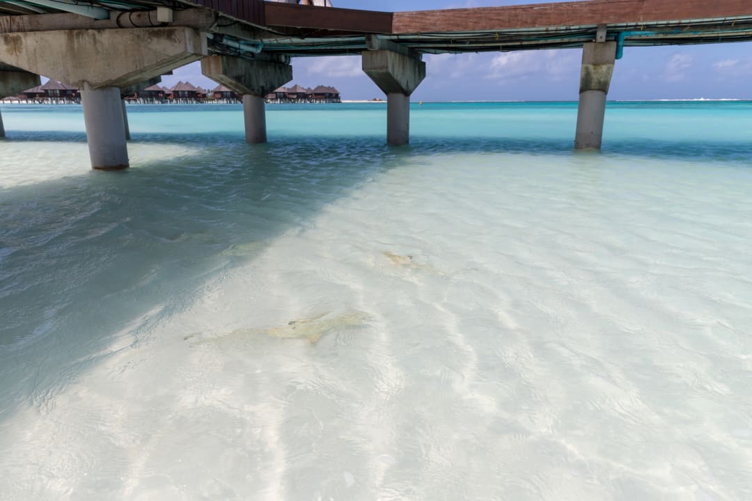 Strand Sun Siyam Olhuveli