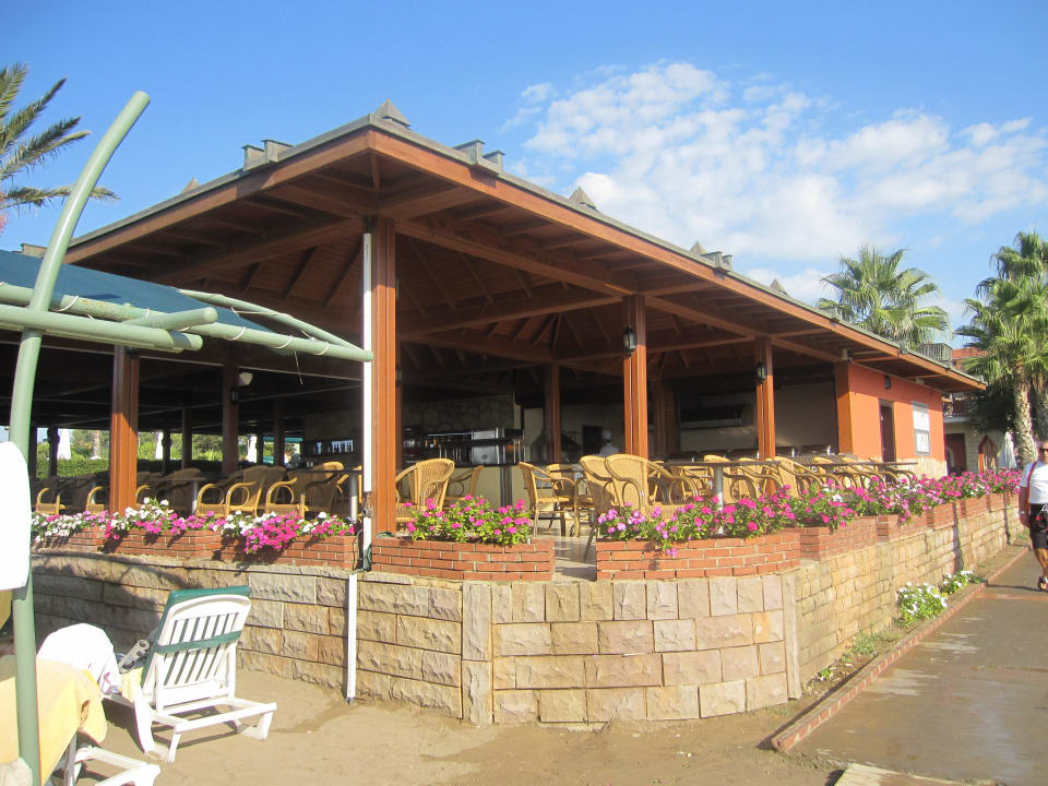 Strandbar Papillon Belvil