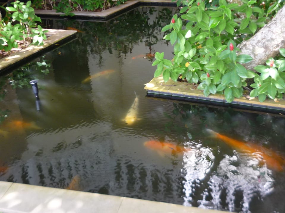 Hotel Sheraton Krabi Beach Resort Dusit Thani Krabi Beach Resort