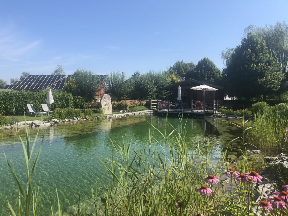 Pool Hotel Laschenskyhof