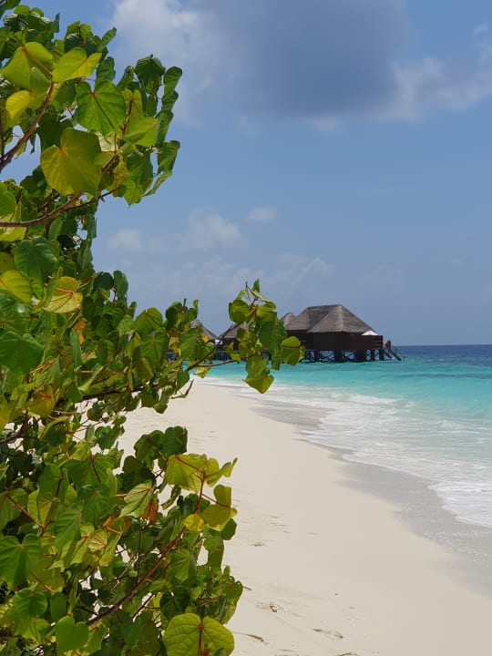 Strand Mirihi Island Resort