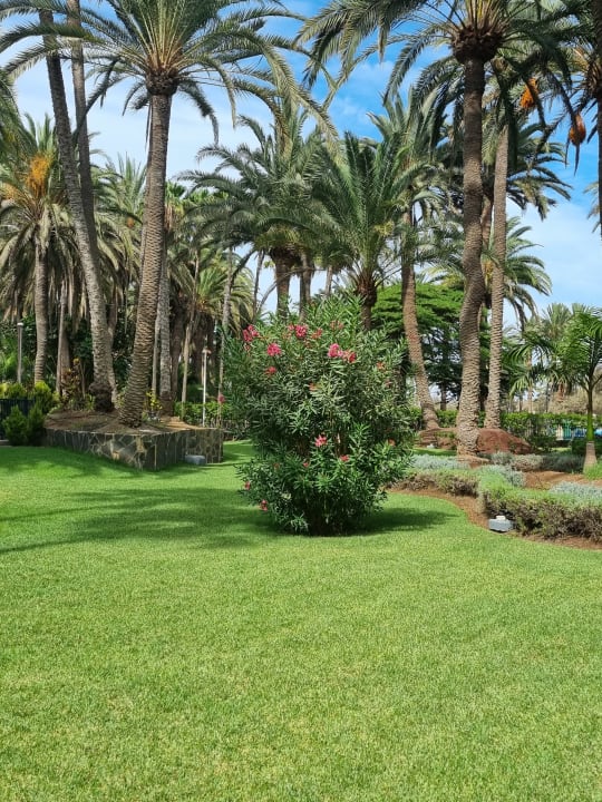 Außenansicht Hotel Riu Palace Oasis