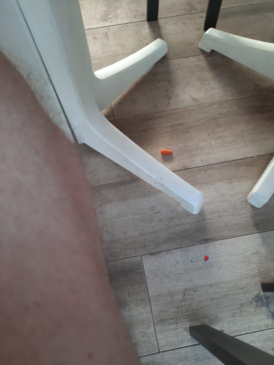 Gastro Los Olivos Beach Resort