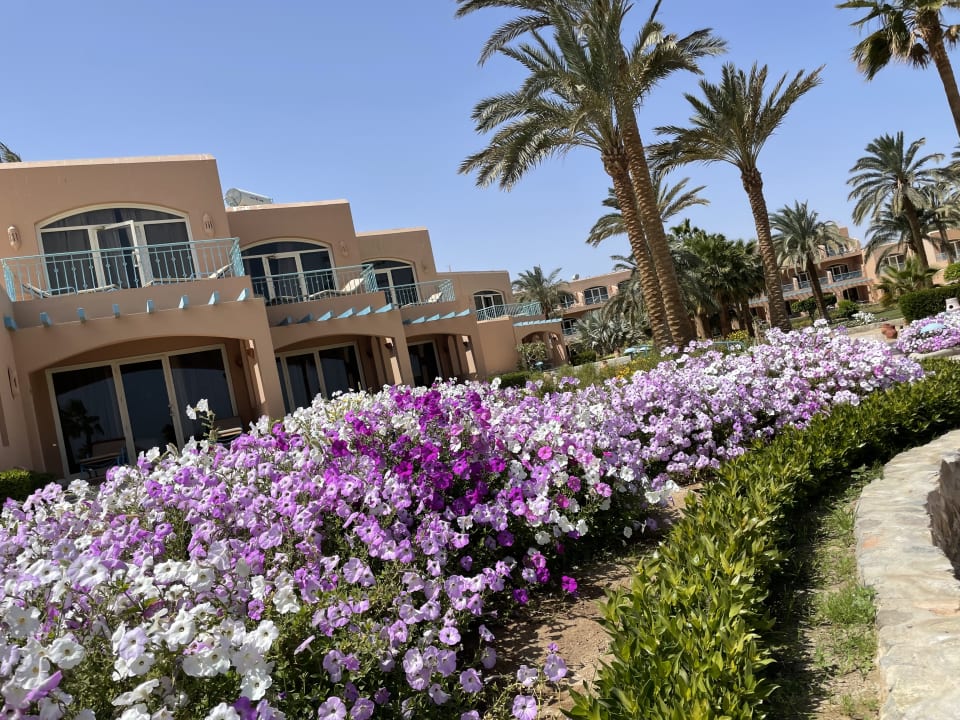 Gartenanlage Club Paradisio El Gouna, Red Sea