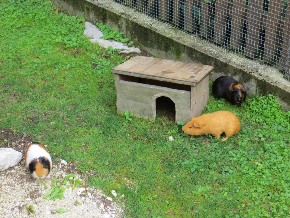 Mitbewohner des Gartens Gästehaus Kilianmühle