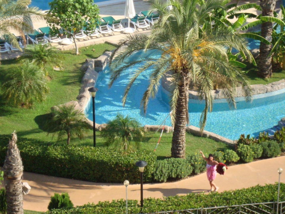 Früh um 9 Uhr Royal Wings Hotel