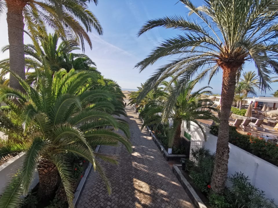 Gartenanlage Hotel Riu Palace Maspalomas Adults Only