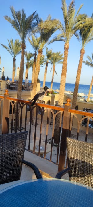 Ausblick Makadi Spa - Adults only