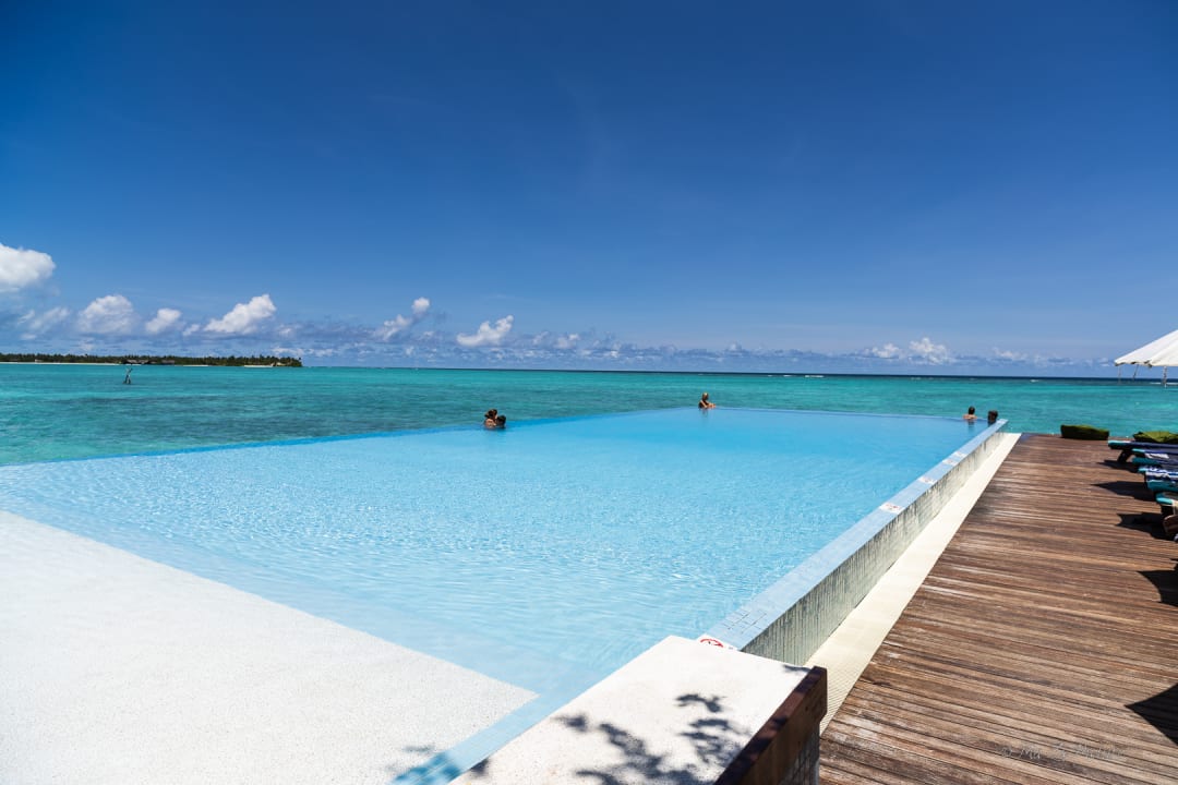 Pool Summer Island Maldives