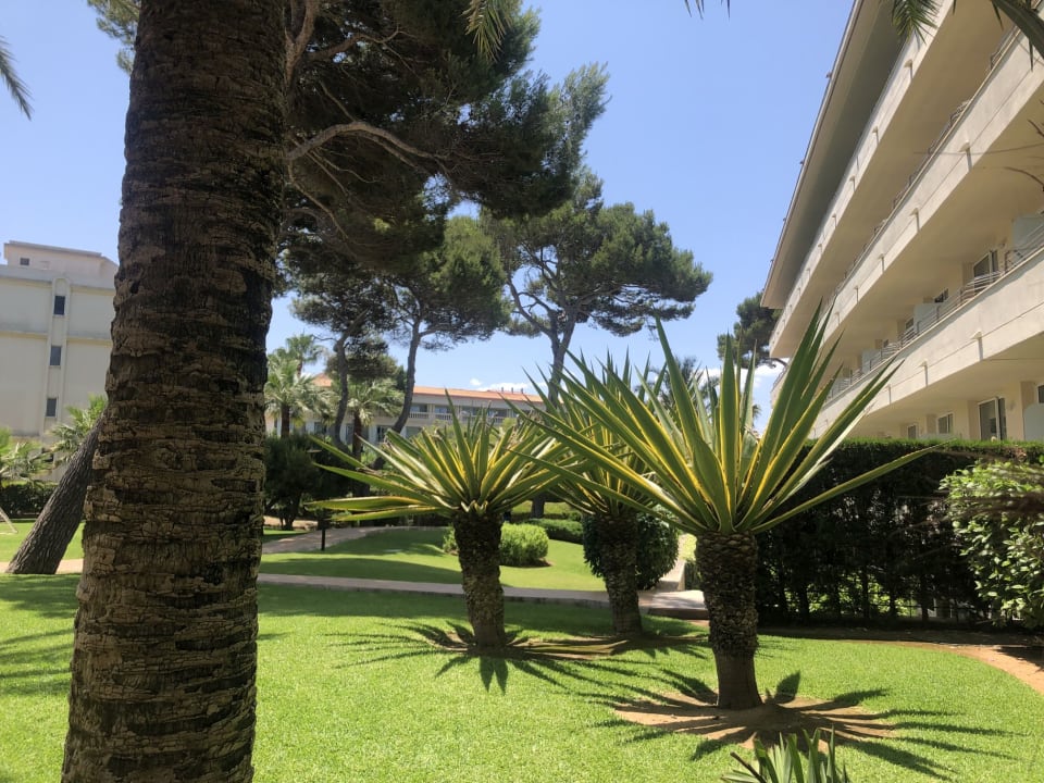 Gartenanlage Grupotel Natura Playa