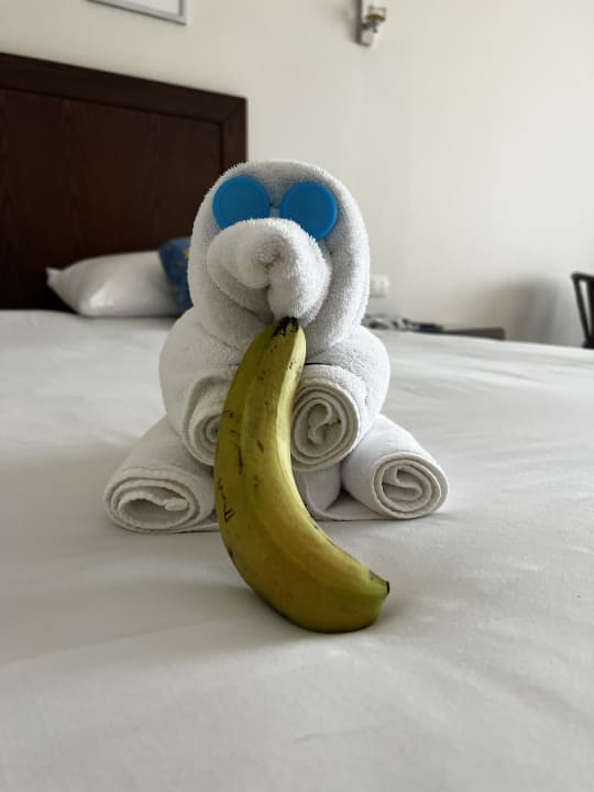 Zimmer Jaz Soma Beach