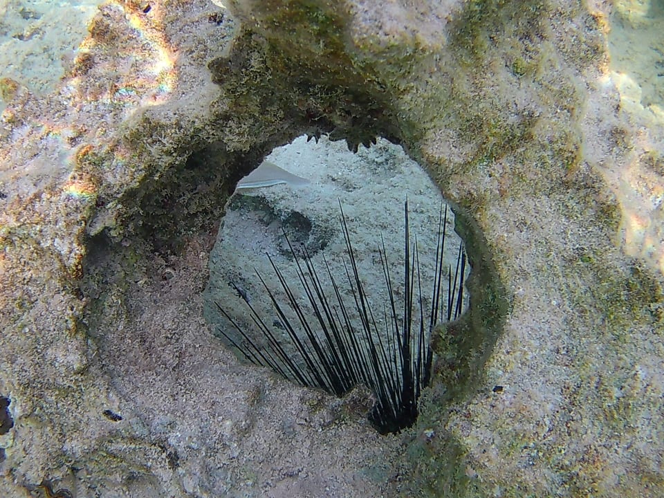 Strand Three Corners Sea Beach Resort