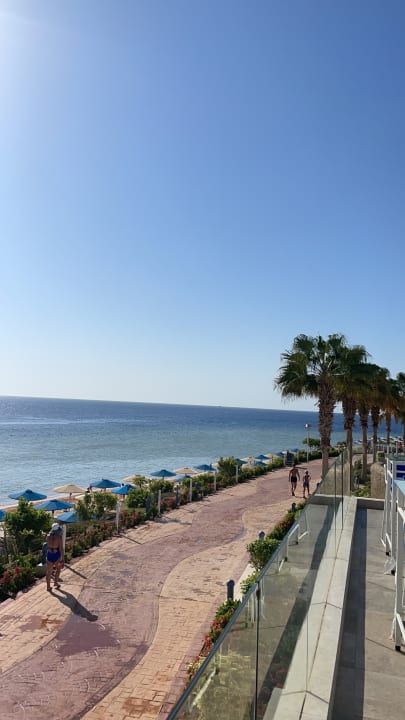 Ausblick Pickalbatros Palace Resort