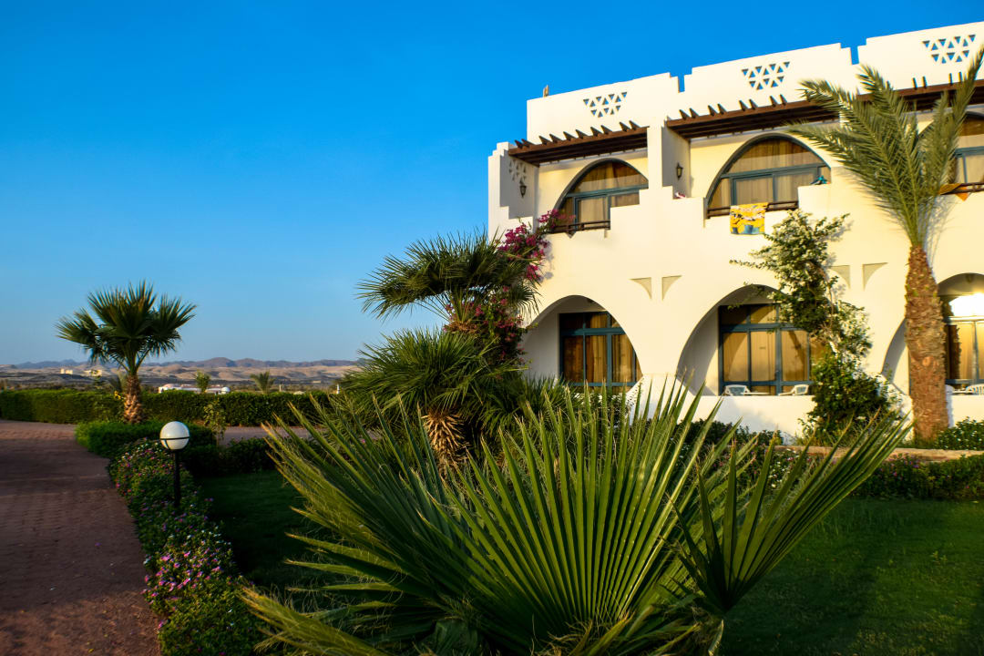 Gartenanlage Three Corners Equinox Beach Resort