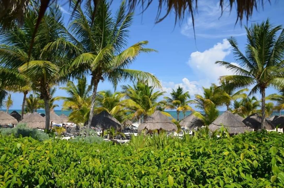 Blick auf den Privileged-Bereich Catalonia Playa Maroma