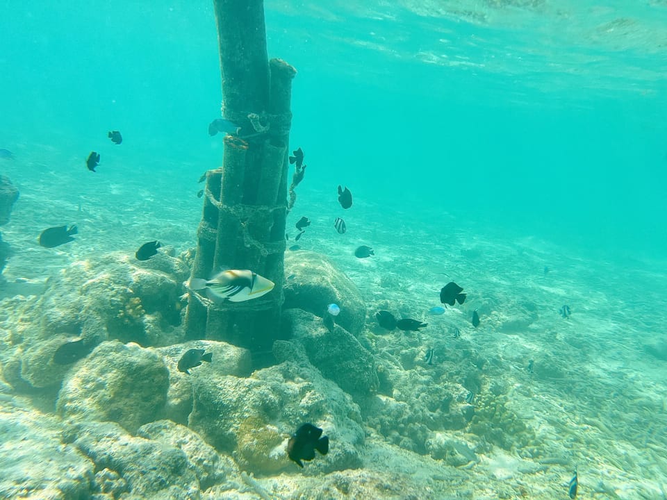 Sport & Freizeit Summer Island Maldives