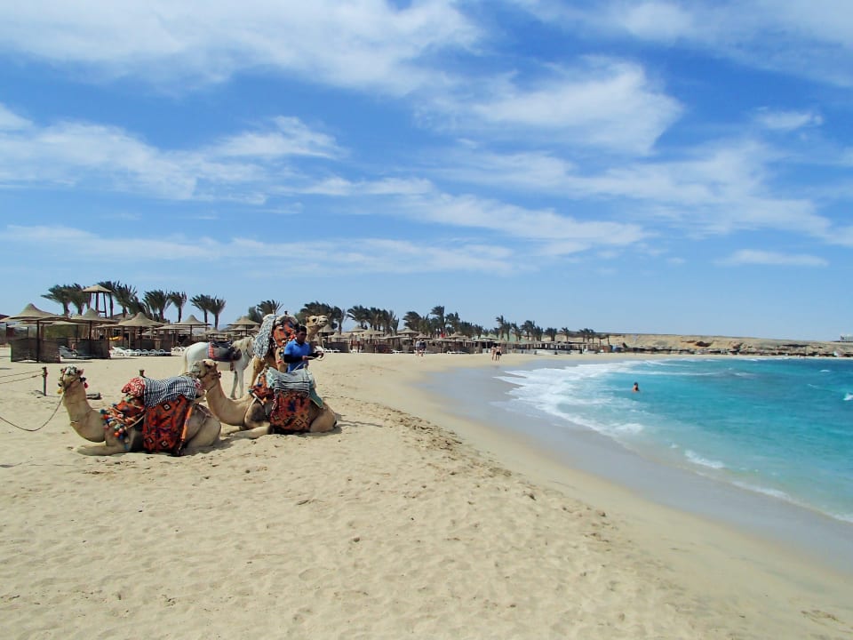 Strand Malikia Resort Abu Dabbab