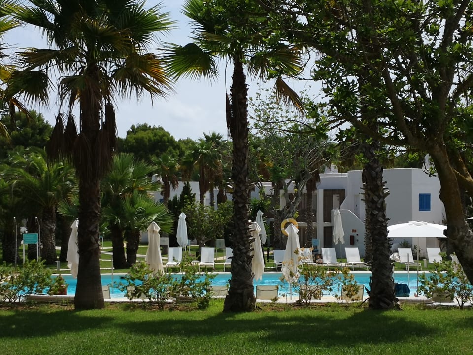 Pool Cala Llenya Resort Ibiza