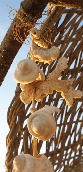 Strand Hotel Gorgonia Beach Resort