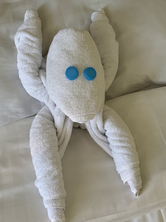 Zimmer Hotel Three Corners Ocean View prestige - Adults only