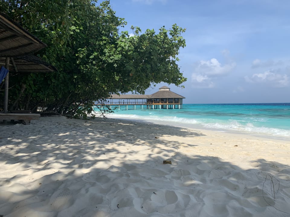 Gastro NH Collection Maldives Reethi Resort