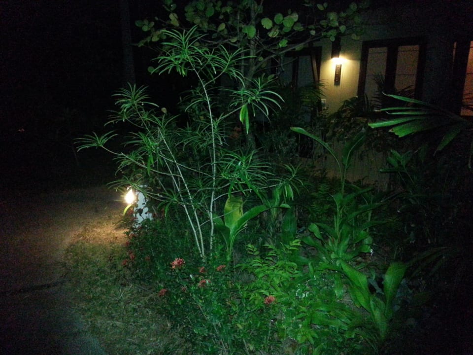 Bei Nacht  NH Collection Samui Peace Resort