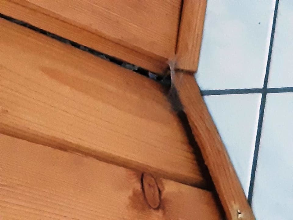 Zimmer Hotel Zur Wildbahn