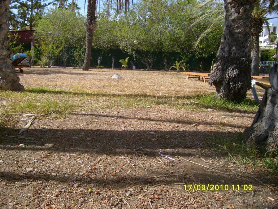 Grüner Rasen HL Miraflor Suites Hotel