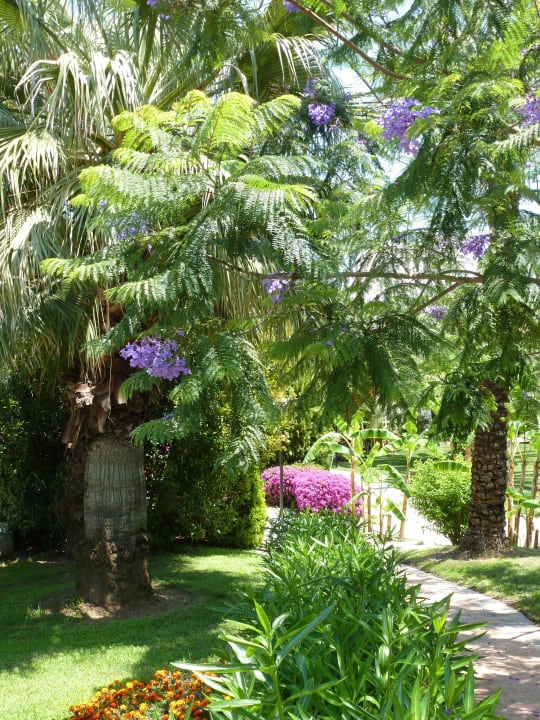 Wirklich traumhafte Gartenanlage Starlight Resort Hotel