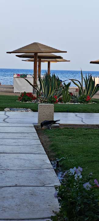 Gartenanlage Shams Prestige Abu Soma-Adults Only