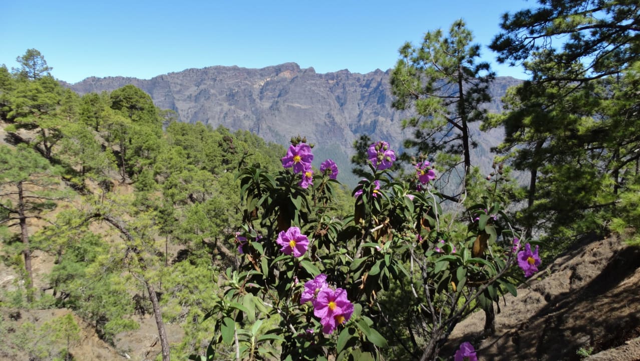Blick in die Caldera vom Mirador las Chozas Casa El Somadero