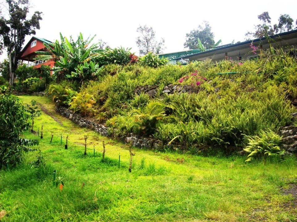 Farmhaus, Scheune und Pension von der Plantage Mango Sunset Bed and Breakfast Inn