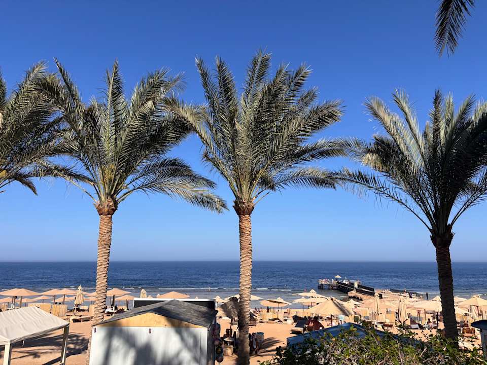 Strand Serenity Alpha Beach