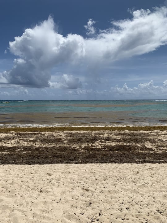 Strand Grand Palladium Select Bávaro Resort & Spa