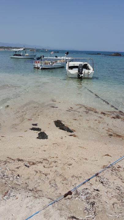 Strand Salamis Bay Conti Resort Hotel & Casino