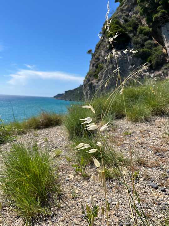 Sonstiges Villa Kapella