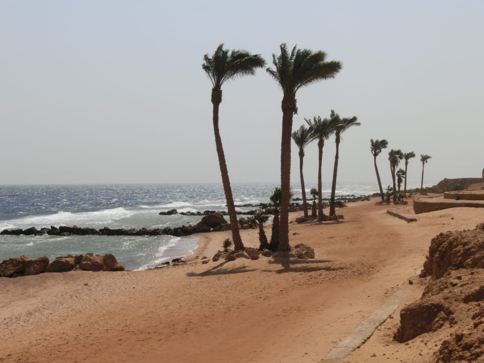 Strand Pickalbatros Citadel Resort