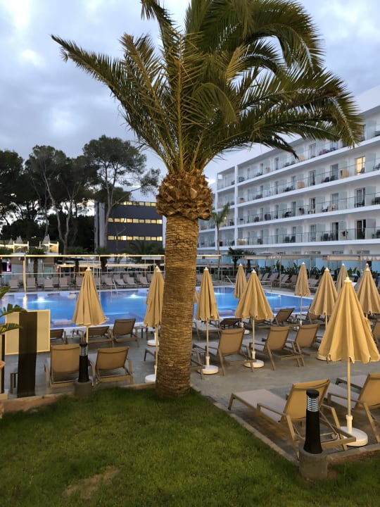 Pool Hotel Riu Playa Park