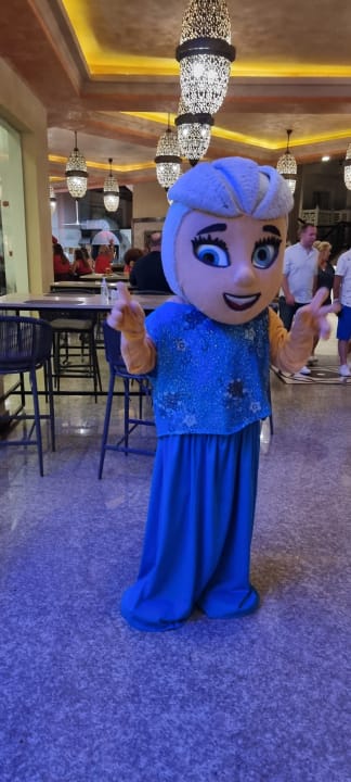 Sonstiges Pickalbatros Palace Resort