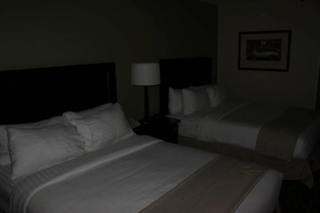 Zimmer Hotel Holiday Inn Express Fort Myers West - The Forum