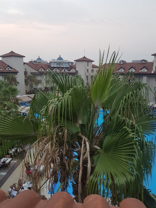 Ausblick Hotel Orfeus Park