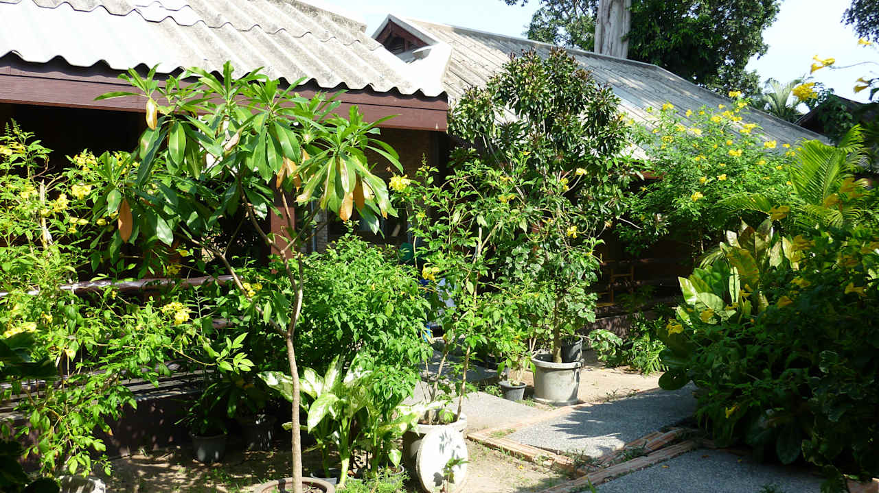 Blick von der Teerasse Hotel The Cottage